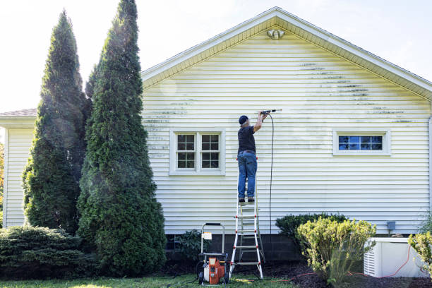 Pressure Washing Services for Businesses in Snowflake, AZ