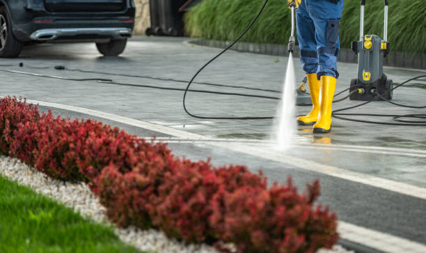 Pressure Washing Services for Businesses in Snowflake, AZ